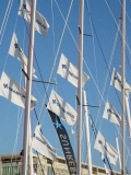 Photo31_Zoom