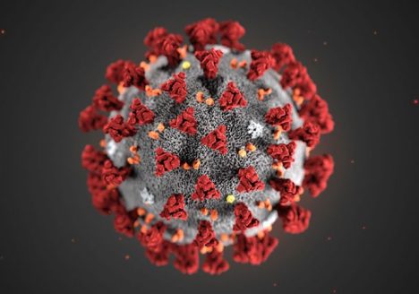 Adria Bandiere - Covid19