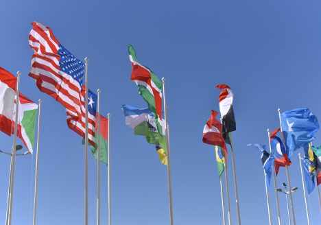 curiosità bandiere del mondo